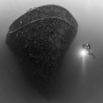 MS Peltastis