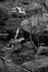 Uli im Karlstal