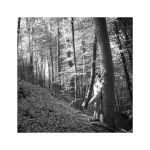 Alexandra, Licht und Schatten