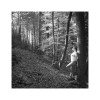 Alexandra, Licht und Schatten