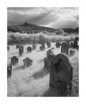 Jüdischer Friedhof - Infrarot