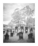 Jüdischer Friedhof - Infrarot