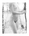 Akt
