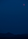 Blutmond