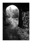 Burg Drachenfels