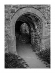 Burg Drachenfels