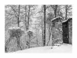 Burgruine Gräfenstein