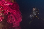Diving Krk, color