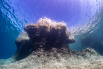 Diving Krk 2022