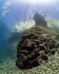 Diving Krk 2022