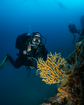 Diving Krk 2022