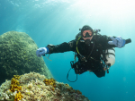 Diving Krk 2022