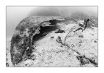 Wrack, monochrome