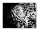Drachenkopf, monochrome