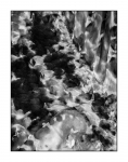 Drachenkopf, monochrome