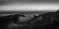 Nebel am Morgen