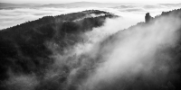 Nebel am Morgen