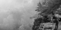 Nebel am Morgen