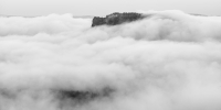 Nebel am Morgen