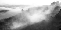 Nebel am Morgen