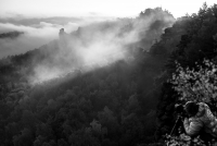 Nebel am Morgen