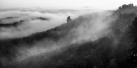 Nebel am Morgen
