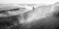 Nebel am Morgen