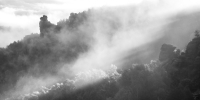 Nebel am Morgen