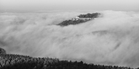 Nebel am Morgen