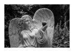 Friedhof Ohlsdorf