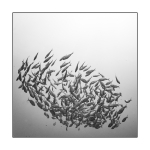 Fische