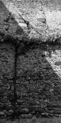 Freinsheim vertical
