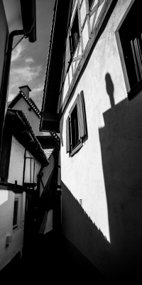Freinsheim vertical