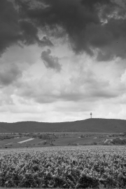 Freinsheim