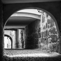 Freinsheim