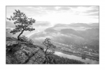 Frühmorgens auf dem Lilienstein