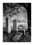 Glasgow Necropolis