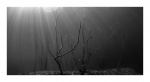 Kreidesee Hemmoor