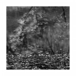 Herbst am Bach
