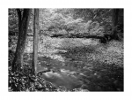 Am Bach