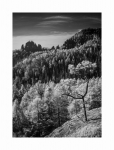 Herbst in der Sächsischen Schweiz