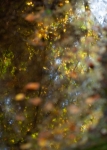 Herbstfarben
