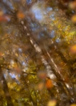 Herbstfarben