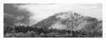 Herbststimmung