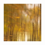 Herbstwald