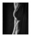 JaDe, Liquid Latex