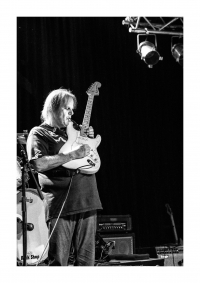 Walter Trout