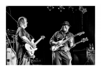 Walter Trout