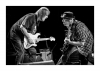 Walter Trout