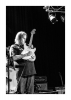Walter Trout